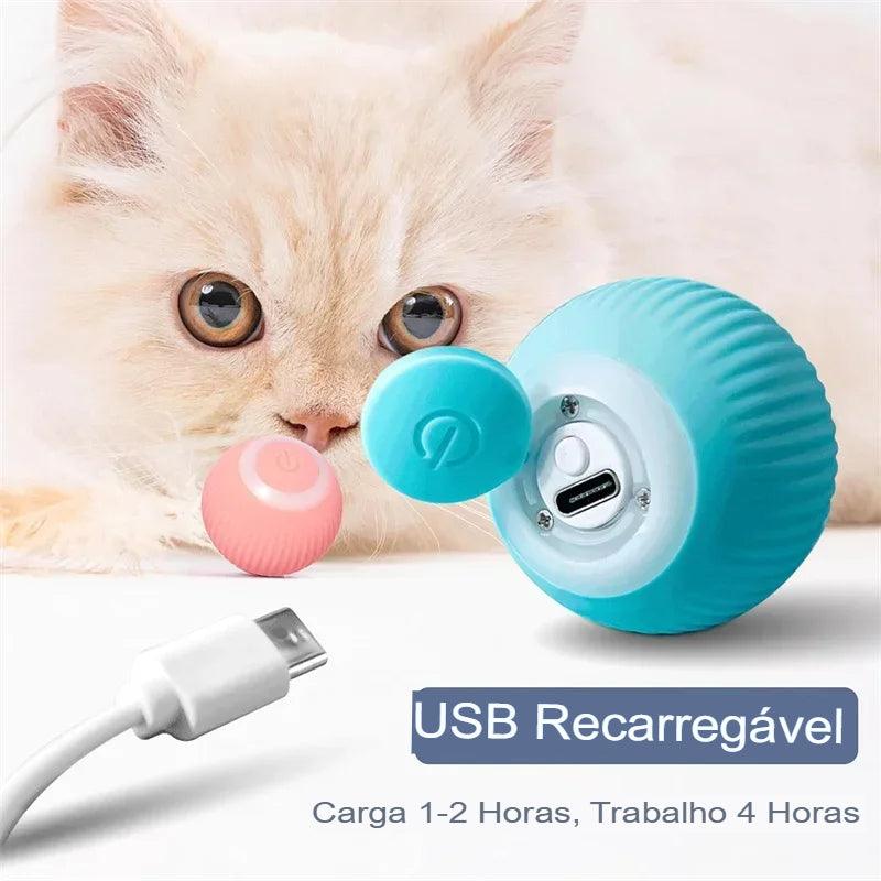 Bolinha para Pets Interativa.